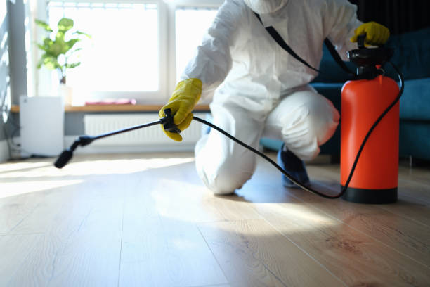 Reliable Hoarding Cleanup contractor in Rochester, IL by Dulley Family Biohazard Services